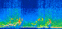 /calipso-imagery/data/BROWSE/production/V5-00/2011-05-16/2011-05-16_18-15-41_V5.00_3_thmb.png image missing
