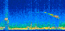 /calipso-imagery/data/BROWSE/production/V5-00/2011-05-16/2011-05-16_23-12-17_V5.00_2_thmb.png image missing