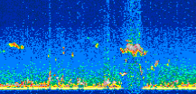 /calipso-imagery/data/BROWSE/production/V5-00/2011-05-17/2011-05-17_00-51-12_V5.00_2_thmb.png image missing