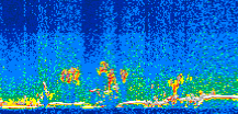 /calipso-imagery/data/BROWSE/production/V5-00/2011-05-17/2011-05-17_14-02-19_V5.00_3_thmb.png image missing