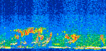 /calipso-imagery/data/BROWSE/production/V5-00/2011-05-17/2011-05-17_17-20-04_V5.00_3_thmb.png image missing