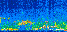 /calipso-imagery/data/BROWSE/production/V5-00/2011-05-17/2011-05-17_22-16-45_V5.00_3_thmb.png image missing
