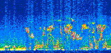 /calipso-imagery/data/BROWSE/production/V5-00/2011-05-18/2011-05-18_06-31-11_V5.00_2_thmb.png image missing