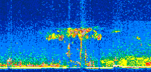 /calipso-imagery/data/BROWSE/production/V5-00/2011-05-18/2011-05-18_09-48-56_V5.00_2_thmb.png image missing