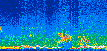 /calipso-imagery/data/BROWSE/production/V5-00/2011-05-18/2011-05-18_16-24-32_V5.00_3_thmb.png image missing