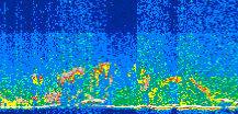 /calipso-imagery/data/BROWSE/production/V5-00/2011-05-18/2011-05-18_18-03-23_V5.00_3_thmb.png image missing
