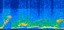 /calipso-imagery/data/BROWSE/production/V5-00/2011-05-19/2011-05-19_02-17-49_V5.00_3_thmb.png image missing