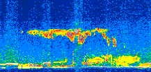 /calipso-imagery/data/BROWSE/production/V5-00/2011-05-19/2011-05-19_13-50-00_V5.00_2_thmb.png image missing