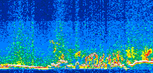 /calipso-imagery/data/BROWSE/production/V5-00/2011-05-19/2011-05-19_13-50-00_V5.00_3_thmb.png image missing