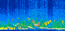 /calipso-imagery/data/BROWSE/production/V5-00/2011-05-19/2011-05-19_15-28-55_V5.00_3_thmb.png image missing
