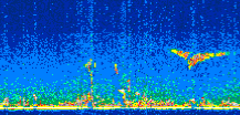 /calipso-imagery/data/BROWSE/production/V5-00/2011-05-19/2011-05-19_23-43-22_V5.00_2_thmb.png image missing