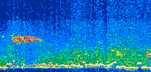 /calipso-imagery/data/BROWSE/production/V5-00/2011-05-23/2011-05-23_00-14-21_V5.00_3_thmb.png image missing