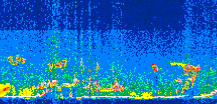 /calipso-imagery/data/BROWSE/production/V5-00/2011-05-23/2011-05-23_10-07-39_V5.00_3_thmb.png image missing