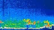 /calipso-imagery/data/BROWSE/production/V5-00/2011-05-23/2011-05-23_15-04-20_V5.00_4_thmb.png image missing
