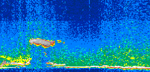 /calipso-imagery/data/BROWSE/production/V5-00/2011-05-24/2011-05-24_19-05-29_V5.00_3_thmb.png image missing