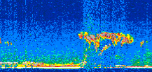 /calipso-imagery/data/BROWSE/production/V5-00/2011-05-24/2011-05-24_20-44-19_V5.00_2_thmb.png image missing