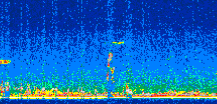 /calipso-imagery/data/BROWSE/production/V5-00/2011-05-25/2011-05-25_00-02-04_V5.00_2_thmb.png image missing