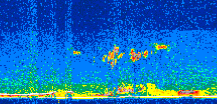 /calipso-imagery/data/BROWSE/production/V5-00/2011-05-25/2011-05-25_13-13-11_V5.00_2_thmb.png image missing