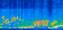 /calipso-imagery/data/BROWSE/production/V5-00/2011-05-25/2011-05-25_13-13-11_V5.00_3_thmb.png image missing