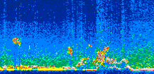 /calipso-imagery/data/BROWSE/production/V5-00/2011-05-25/2011-05-25_21-27-37_V5.00_3_thmb.png image missing