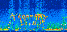 /calipso-imagery/data/BROWSE/production/V5-00/2011-05-27/2011-05-27_03-07-36_V5.00_2_thmb.png image missing