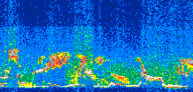 /calipso-imagery/data/BROWSE/production/V5-00/2011-05-27/2011-05-27_03-07-36_V5.00_3_thmb.png image missing