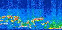 /calipso-imagery/data/BROWSE/production/V5-00/2011-05-27/2011-05-27_06-25-27_V5.00_3_thmb.png image missing