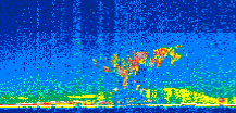 /calipso-imagery/data/BROWSE/production/V5-00/2011-05-27/2011-05-27_13-00-57_V5.00_2_thmb.png image missing