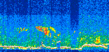 /calipso-imagery/data/BROWSE/production/V5-00/2011-05-27/2011-05-27_14-39-53_V5.00_3_thmb.png image missing