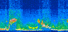 /calipso-imagery/data/BROWSE/production/V5-00/2011-05-31/2011-05-31_02-43-09_V5.00_3_thmb.png image missing