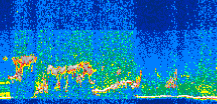 /calipso-imagery/data/BROWSE/production/V5-00/2011-05-31/2011-05-31_04-21-59_V5.00_3_thmb.png image missing
