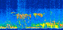 /calipso-imagery/data/BROWSE/production/V5-00/2011-05-31/2011-05-31_07-39-49_V5.00_2_thmb.png image missing