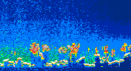 /calipso-imagery/data/BROWSE/production/V5-00/2011-07-15/2011-07-15_02-11-46_V5.00_4_thmb.png image missing