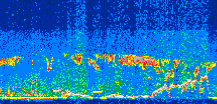 /calipso-imagery/data/BROWSE/production/V5-00/2011-08-15/2011-08-15_01-26-27_V5.00_3_thmb.png image missing