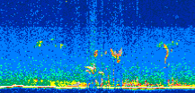 /calipso-imagery/data/BROWSE/production/V5-00/2011-08-15/2011-08-15_04-44-13_V5.00_2_thmb.png image missing