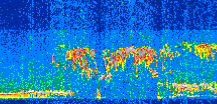 /calipso-imagery/data/BROWSE/production/V5-00/2011-08-15/2011-08-15_08-01-58_V5.00_2_thmb.png image missing