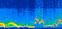 /calipso-imagery/data/BROWSE/production/V5-00/2011-08-15/2011-08-15_12-58-34_V5.00_3_thmb.png image missing
