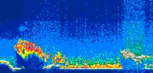 /calipso-imagery/data/BROWSE/production/V5-00/2011-08-15/2011-08-15_14-37-29_V5.00_1_thmb.png image missing