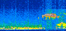 /calipso-imagery/data/BROWSE/production/V5-00/2011-08-15/2011-08-15_14-37-29_V5.00_2_thmb.png image missing