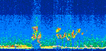 /calipso-imagery/data/BROWSE/production/V5-00/2011-08-15/2011-08-15_22-51-50_V5.00_3_thmb.png image missing