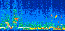 /calipso-imagery/data/BROWSE/production/V5-00/2011-10-05/2011-10-05_08-27-01_V5.00_2_thmb.png image missing