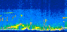 /calipso-imagery/data/BROWSE/production/V5-00/2011-10-05/2011-10-05_11-44-47_V5.00_3_thmb.png image missing