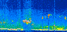 /calipso-imagery/data/BROWSE/production/V5-00/2011-10-10/2011-10-10_05-27-22_V5.00_2_thmb.png image missing