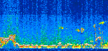 /calipso-imagery/data/BROWSE/production/V5-00/2011-10-10/2011-10-10_08-45-08_V5.00_2_thmb.png image missing