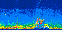 /calipso-imagery/data/BROWSE/production/V5-00/2011-10-10/2011-10-10_08-45-08_V5.00_3_thmb.png image missing