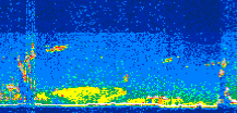 /calipso-imagery/data/BROWSE/production/V5-00/2011-10-10/2011-10-10_12-02-53_V5.00_3_thmb.png image missing