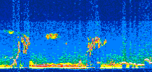 /calipso-imagery/data/BROWSE/production/V5-00/2011-10-10/2011-10-10_15-20-38_V5.00_3_thmb.png image missing