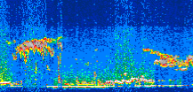 /calipso-imagery/data/BROWSE/production/V5-00/2011-10-10/2011-10-10_18-38-24_V5.00_3_thmb.png image missing