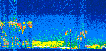 /calipso-imagery/data/BROWSE/production/V5-00/2011-10-16/2011-10-16_11-25-12_V5.00_3_thmb.png image missing