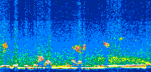 /calipso-imagery/data/BROWSE/production/V5-00/2011-10-17/2011-10-17_13-47-16_V5.00_2_thmb.png image missing